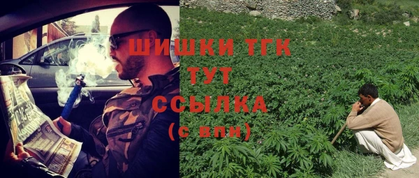 спиды Корсаков