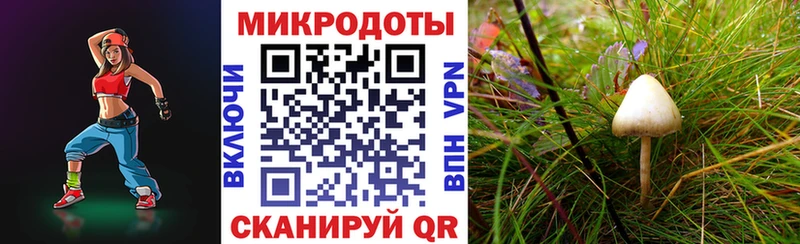 Купить где  Северск  Галлюциногенные грибы GOLDEN TEACHER 